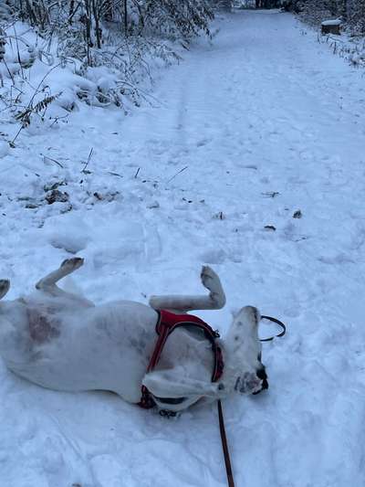 Der erste Schnee, zeigt uns eure tollen Schneemomente-Beitrag-Bild