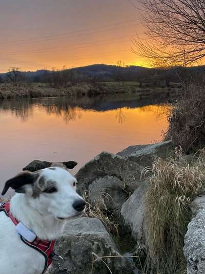 48. Collagen Challenge: Das Leben ist bunt-Beitrag-Bild