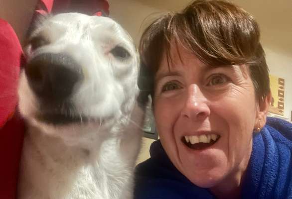 21. Collage Challenge 
Du und dein Hund-Beitrag-Bild