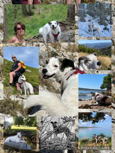 45. Collage Challenge - Lieblingsurlaubs/ Ausflugsziele-Beitrag-Bild