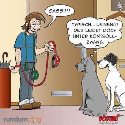 Hunde Memes-Beitrag-Bild
