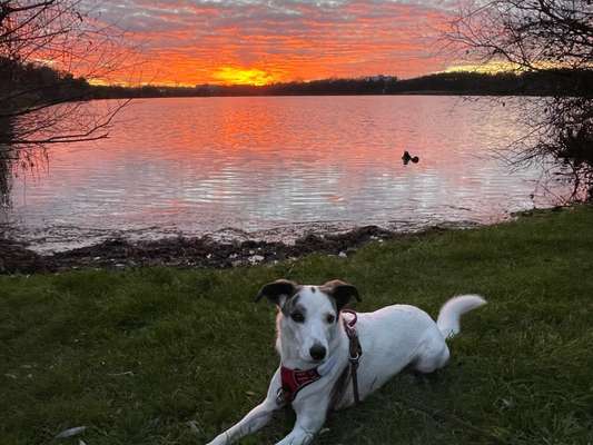 14. Collagen Challenge- Sonnenaufgang & -Untergang-Beitrag-Bild