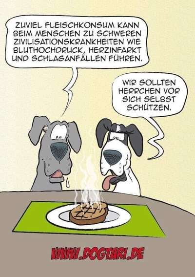 Hunde Memes-Beitrag-Bild