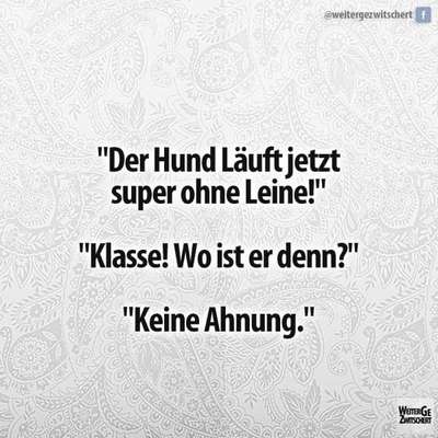 Hunde Memes-Beitrag-Bild