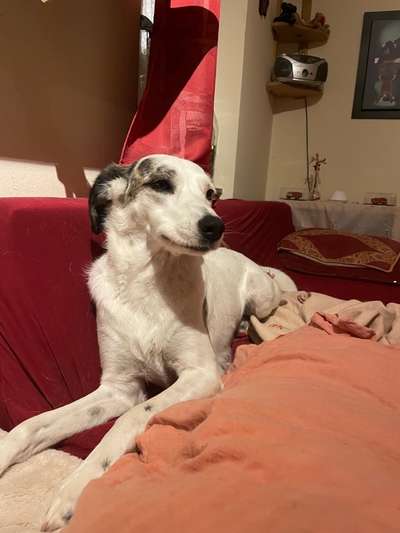 Doppelgänger gesucht !-Beitrag-Bild