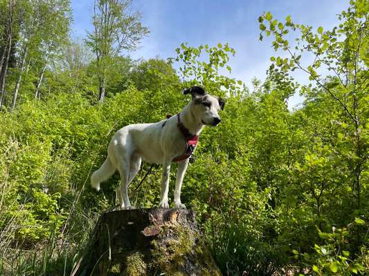 27. Handy Fotochallenge-Beitrag-Bild