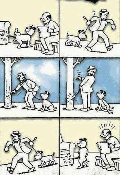 Hunde Memes-Beitrag-Bild