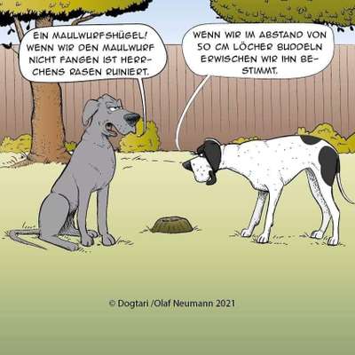 Hunde Memes-Beitrag-Bild