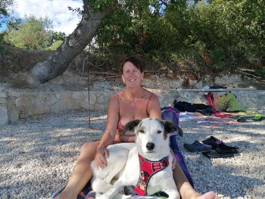 21. Collage Challenge 
Du und dein Hund-Beitrag-Bild