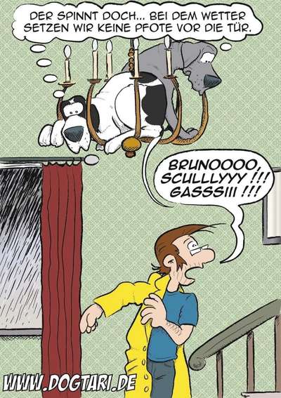 Hunde Memes-Beitrag-Bild