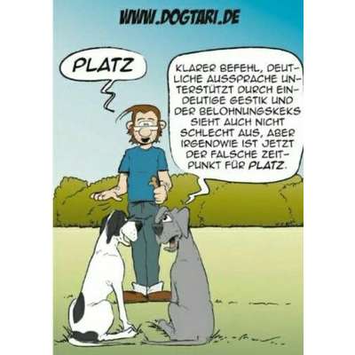 Hunde Memes-Beitrag-Bild