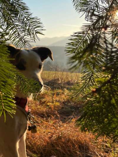 Euer schönster Moment des Jahres auf einem Bild!-Beitrag-Bild