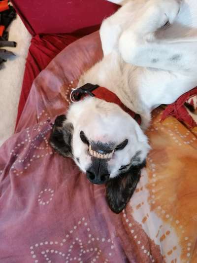 Euer schönster Moment des Jahres auf einem Bild!-Beitrag-Bild