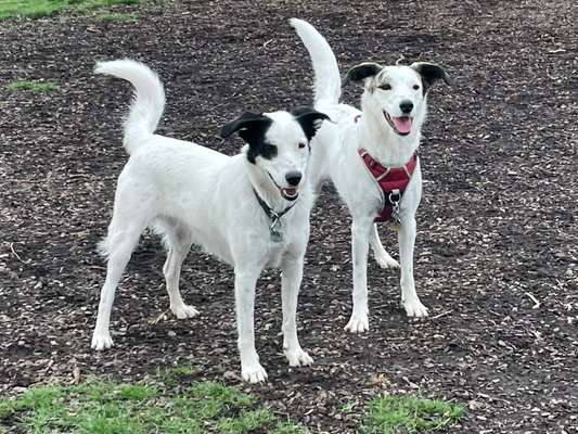 Fotochallenge 88-Beitrag-Bild