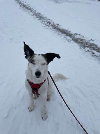 "Die eingefangene Magie des Augenblicks"-Beitrag-Bild