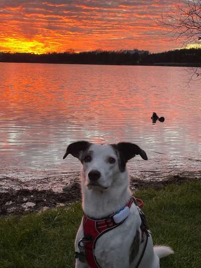 18. Farben Fotochallenge: Sonnenuntergang-Beitrag-Bild