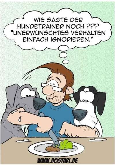 Hunde Memes-Beitrag-Bild