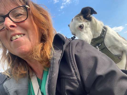 Hunde Memes-Beitrag-Bild