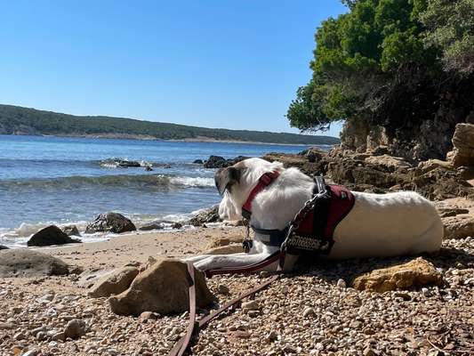 37. Collagen Challenge- Am Strand-Beitrag-Bild