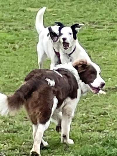 Handy-Foto-Challange Nr. 8-Beitrag-Bild