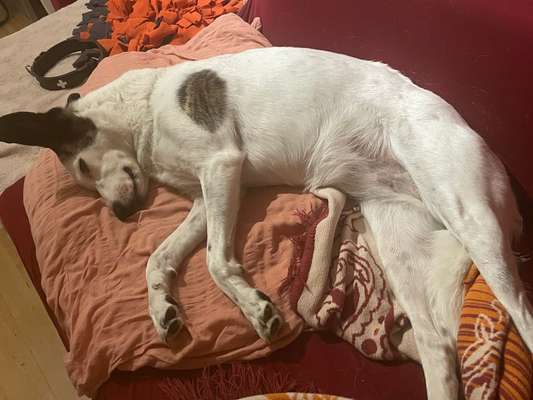 Foto Challenge Nr. 134-Beitrag-Bild