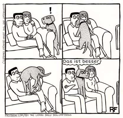 Hunde Memes-Beitrag-Bild