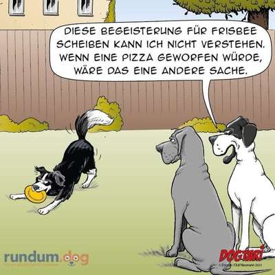 Hunde Memes-Beitrag-Bild