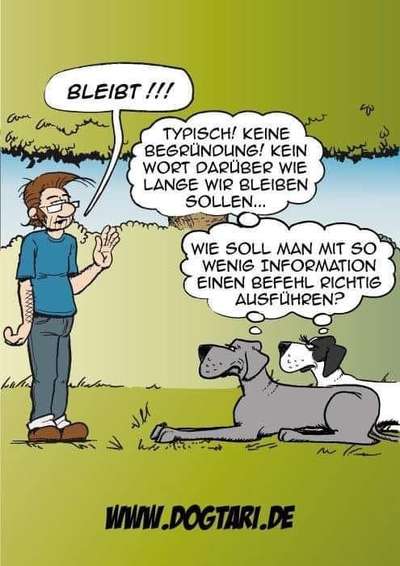 Hunde Memes-Beitrag-Bild