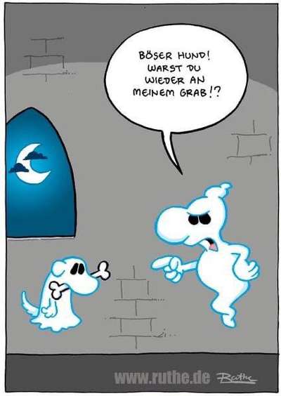 Hunde Memes-Beitrag-Bild