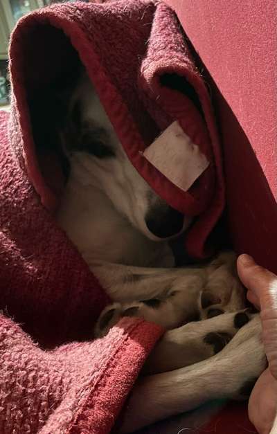 Relaxen im bett-Beitrag-Bild