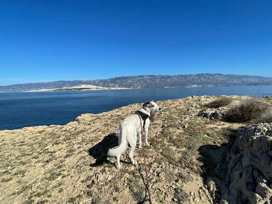 37. Collagen Challenge- Am Strand-Beitrag-Bild