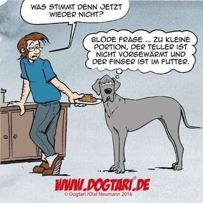 Hunde Memes-Beitrag-Bild