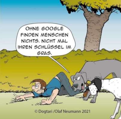 Hunde Memes-Beitrag-Bild