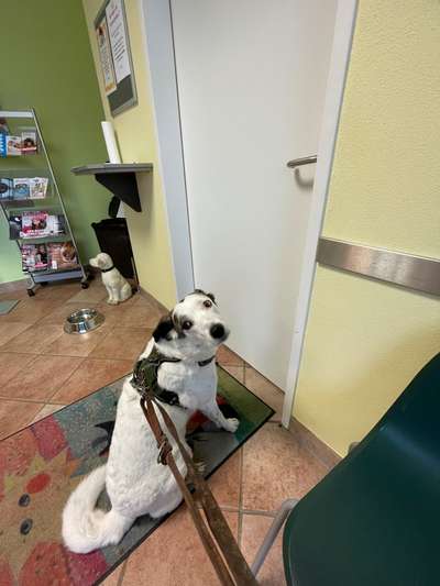 Freddys Kummerkasten-Beitrag-Bild