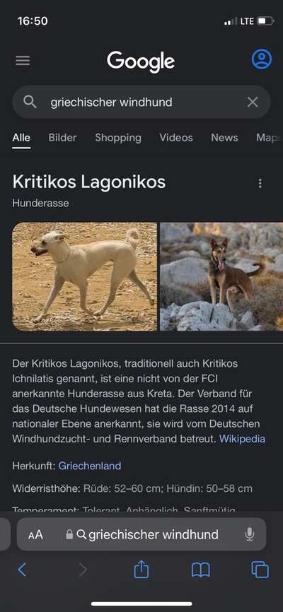 Hilfe bei der Rassebestimmung-Beitrag-Bild