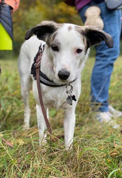 Blick fürs Detail!-Beitrag-Bild