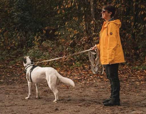 Fotochallenge 108: Starkes Team-Beitrag-Bild