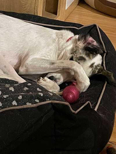 "Die eingefangene Magie des Augenblicks"-Beitrag-Bild