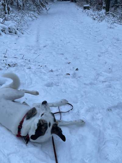 Der erste Schnee, zeigt uns eure tollen Schneemomente-Beitrag-Bild