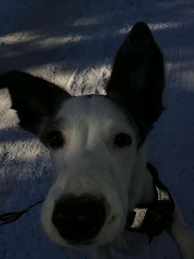 Lustige Grimassen & verrückte Posen-Beitrag-Bild