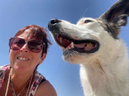 21. Collage Challenge 
Du und dein Hund-Beitrag-Bild