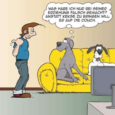 Hunde Memes-Beitrag-Bild