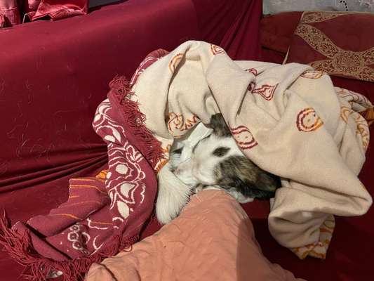 11. Farben Foto Challenge Rot-Beitrag-Bild