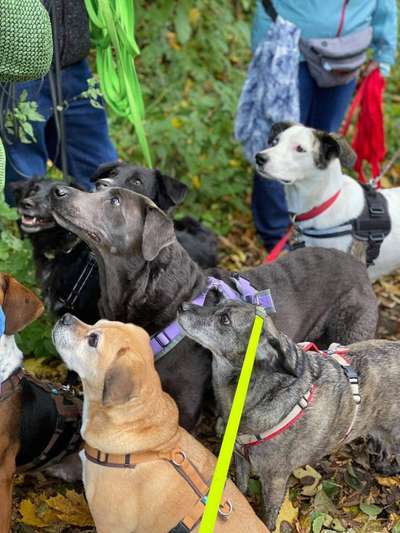 Fotochallenge 69-Beitrag-Bild