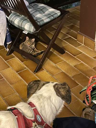 23. Handy Foto-Challenge-Beitrag-Bild