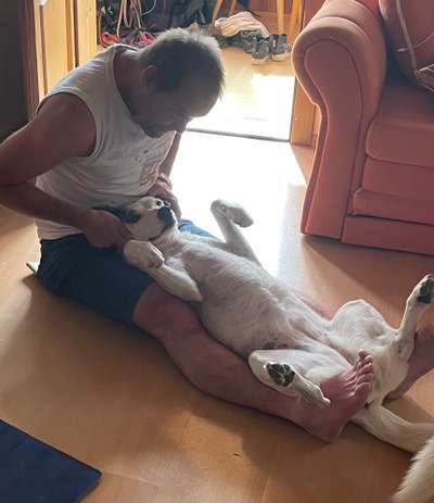 85. Foto Challenge : Schosshund-Beitrag-Bild