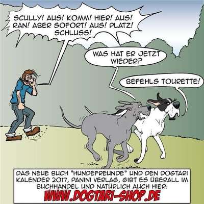 Hunde Memes-Beitrag-Bild