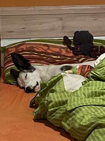 32. Farben Challenge  ** ( BUNTE ) STREIFEN **-Beitrag-Bild