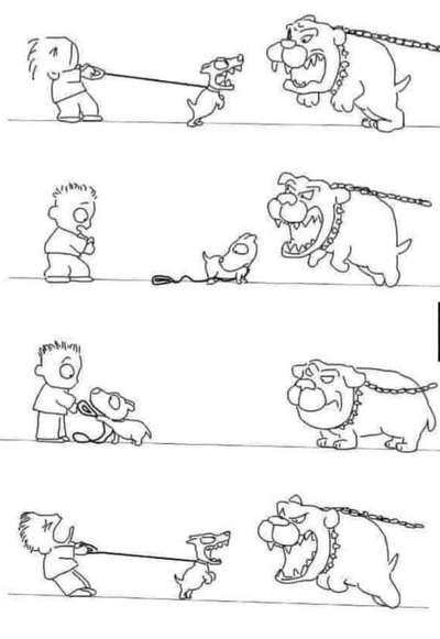 Hunde Memes-Beitrag-Bild