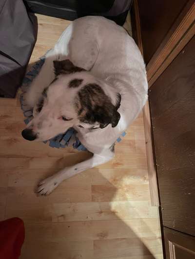 4. Lustiger Schlafplatz-Beitrag-Bild